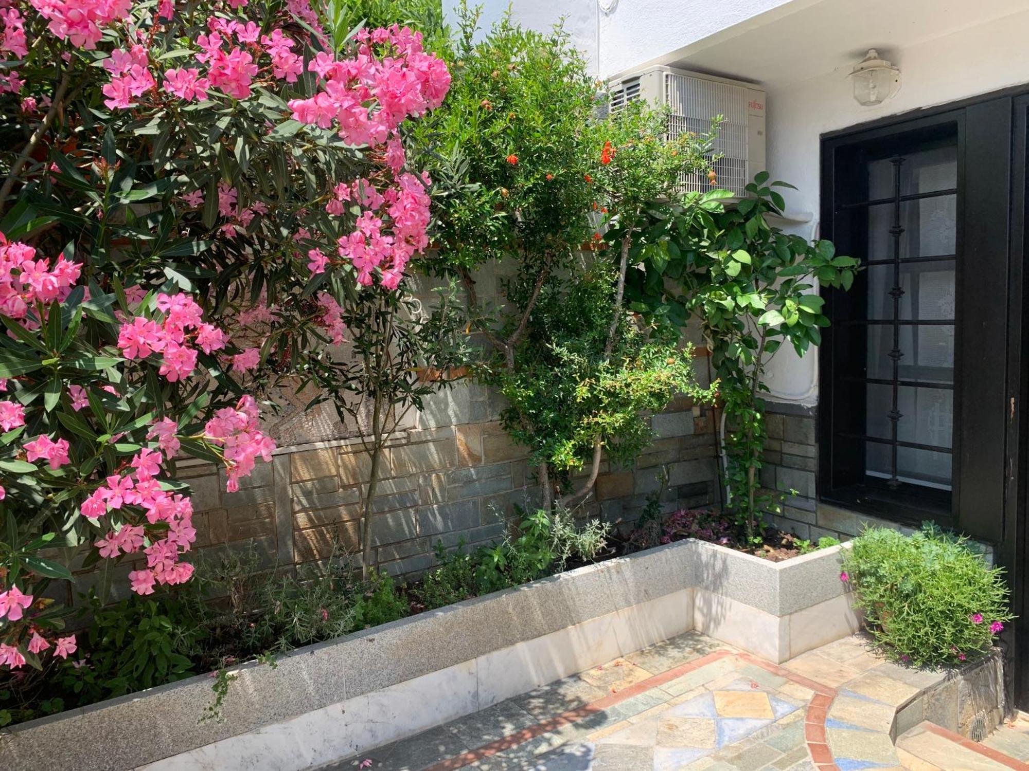 Gemuetliches Appartement In Ano Poli 테살로니키 외부 사진